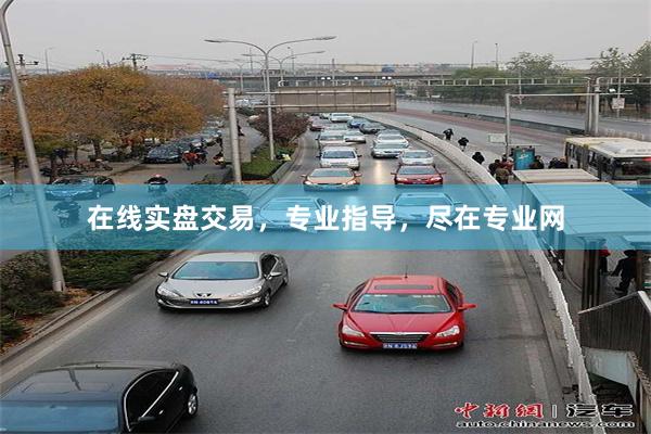 在线实盘交易，专业指导，尽在专业网