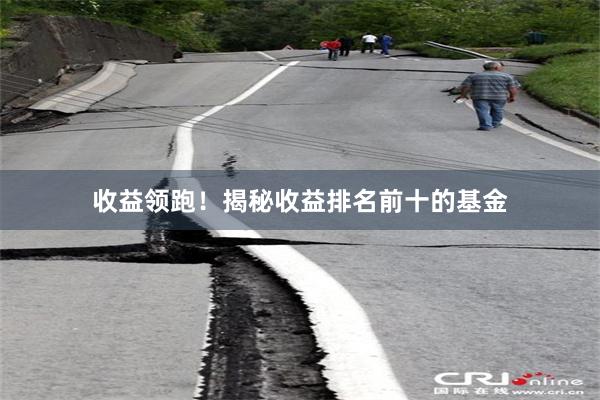 收益领跑！揭秘收益排名前十的基金