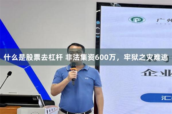 什么是股票去杠杆 非法集资600万，牢狱之灾难逃