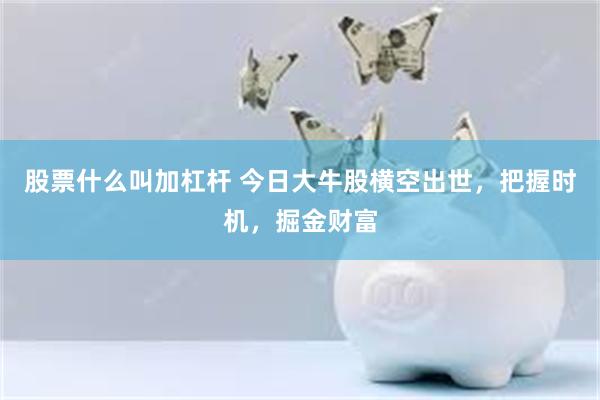 股票什么叫加杠杆 今日大牛股横空出世，把握时机，掘金财富