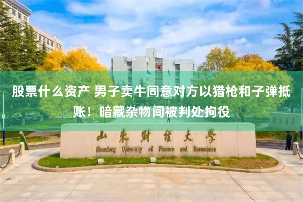 股票什么资产 男子卖牛同意对方以猎枪和子弹抵账！暗藏杂物间被判处拘役