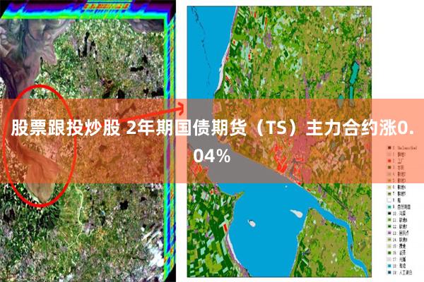 股票跟投炒股 2年期国债期货（TS）主力合约涨0.04%