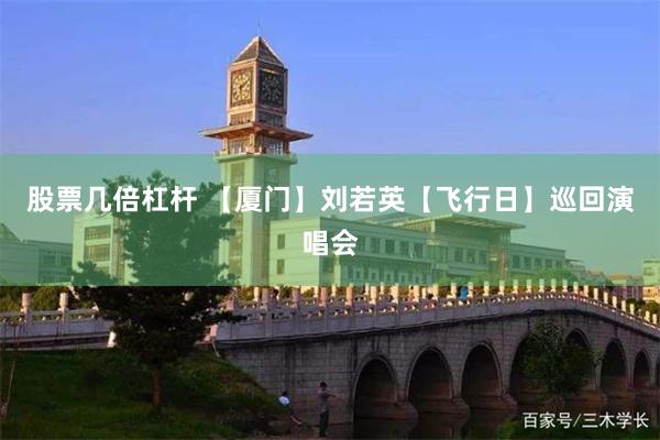 股票几倍杠杆 【厦门】刘若英【飞行日】巡回演唱会