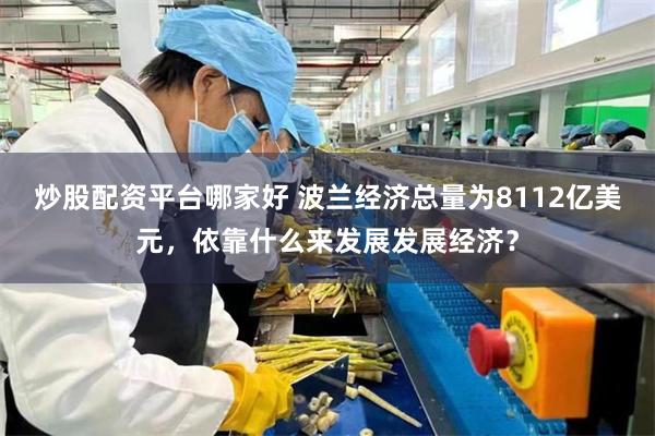 炒股配资平台哪家好 波兰经济总量为8112亿美元，依靠什么来发展发展经济？
