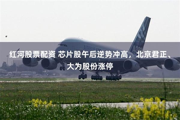 红河股票配资 芯片股午后逆势冲高，北京君正、大为股份涨停