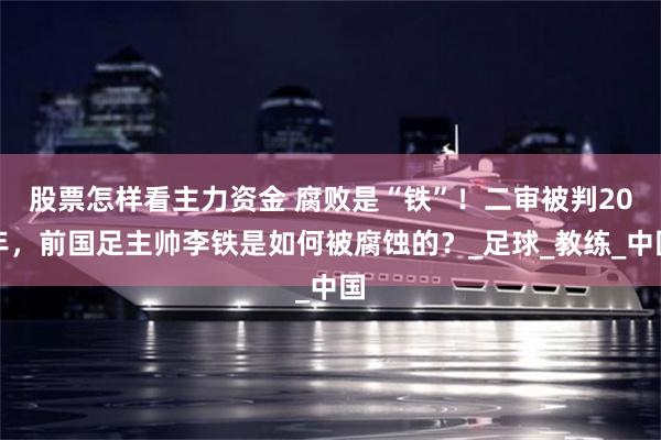 股票怎样看主力资金 腐败是“铁”！二审被判20年，前国足主帅李铁是如何被腐蚀的？_足球_教练_中国