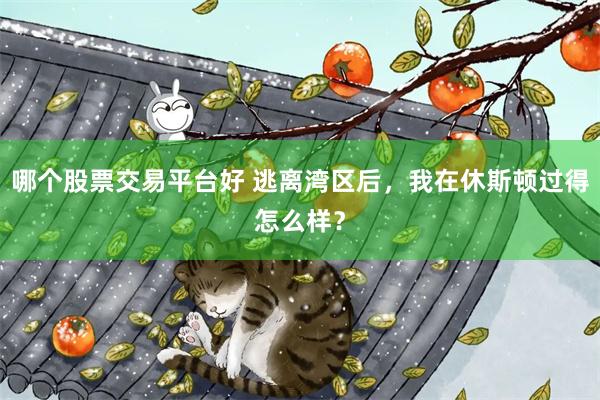 哪个股票交易平台好 逃离湾区后，我在休斯顿过得怎么样？