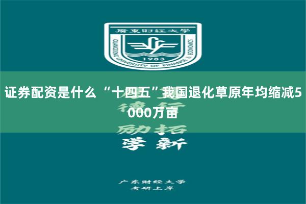 证券配资是什么 “十四五”我国退化草原年均缩减5000万亩