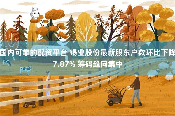 国内可靠的配资平台 锡业股份最新股东户数环比下降7.87% 筹码趋向集中
