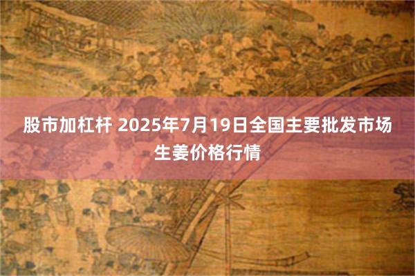 股市加杠杆 2025年7月19日全国主要批发市场生姜价格行情