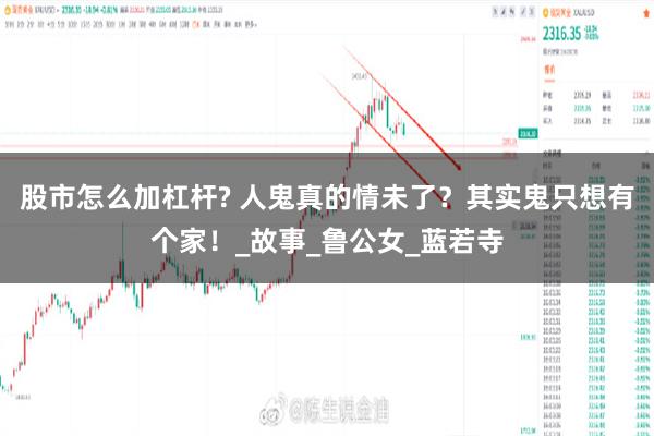 股市怎么加杠杆? 人鬼真的情未了？其实鬼只想有个家！_故事_鲁公女_蓝若寺
