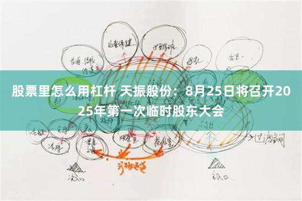 股票里怎么用杠杆 天振股份：8月25日将召开2025年第一次临时股东大会