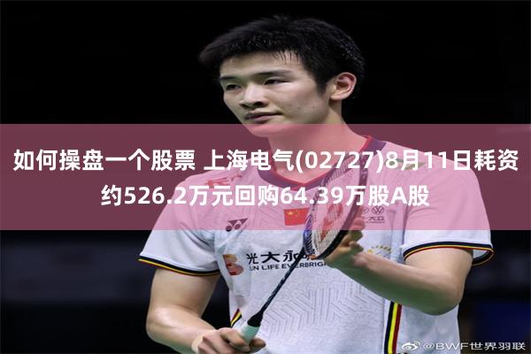 如何操盘一个股票 上海电气(02727)8月11日耗资约526.2万元回购64.39万股A股