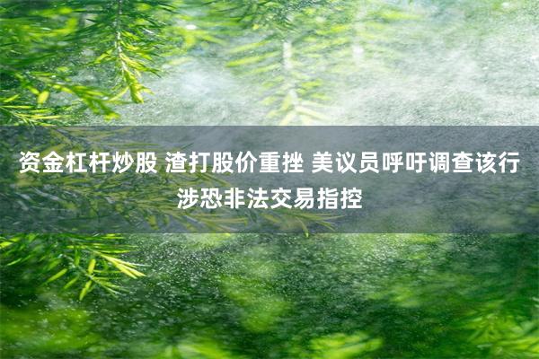 资金杠杆炒股 渣打股价重挫 美议员呼吁调查该行涉恐非法交易指控