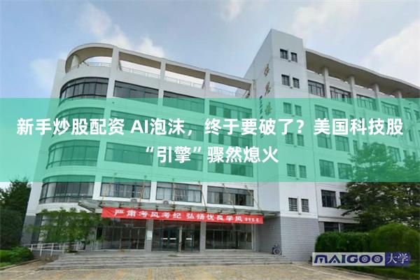 新手炒股配资 AI泡沫，终于要破了？美国科技股“引擎”骤然熄火