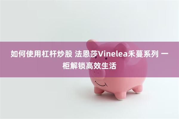 如何使用杠杆炒股 法恩莎Vinelea禾蔓系列 一柜解锁高效生活