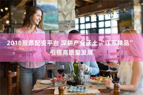 2018股票配资平台 深耕产业沃土 “江苏精品” 引领高质量发展