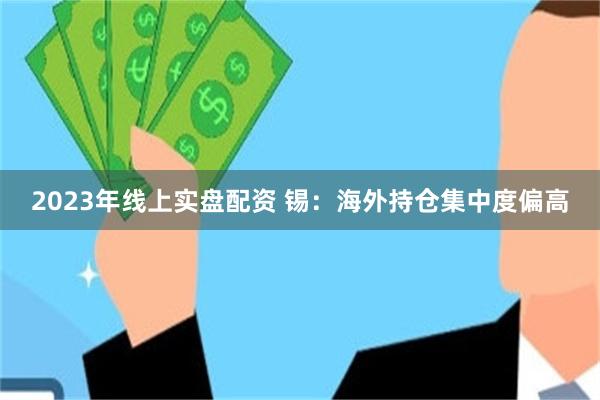 2023年线上实盘配资 锡：海外持仓集中度偏高