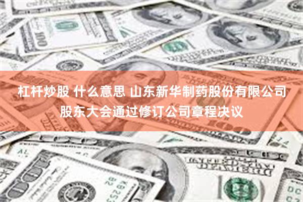 杠杆炒股 什么意思 山东新华制药股份有限公司股东大会通过修订公司章程决议