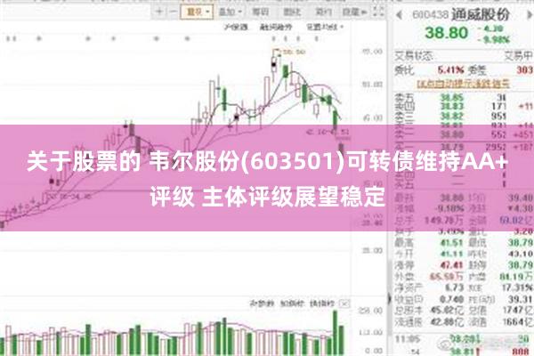 关于股票的 韦尔股份(603501)可转债维持AA+评级 主体评级展望稳定