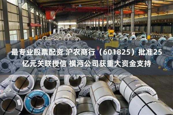 最专业股票配资 沪农商行（601825）批准25亿元关联授信 横沔公司获重大资金支持