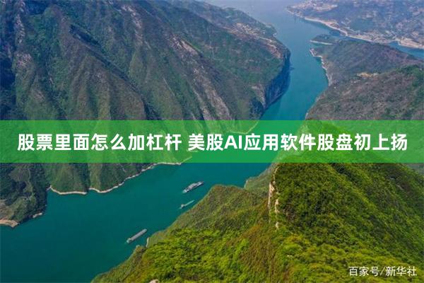 股票里面怎么加杠杆 美股AI应用软件股盘初上扬
