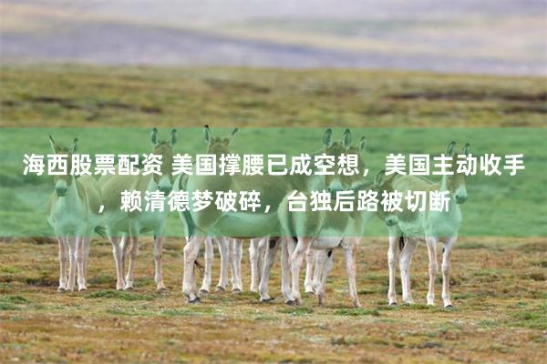 海西股票配资 美国撑腰已成空想，美国主动收手，赖清德梦破碎，台独后路被切断