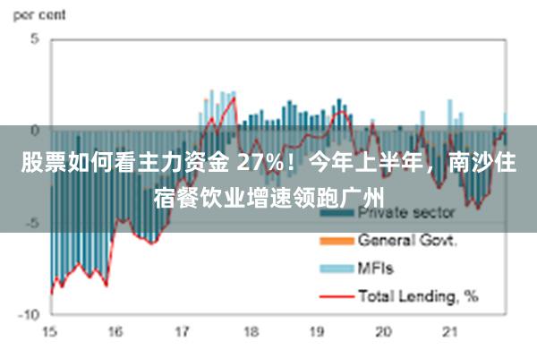 股票如何看主力资金 27%！今年上半年，南沙住宿餐饮业增速领跑广州