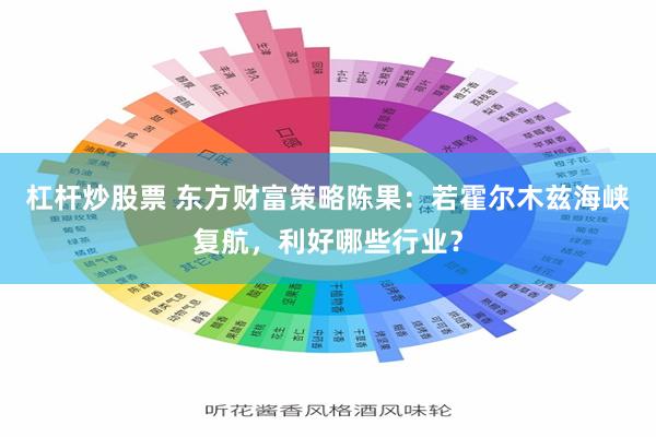 杠杆炒股票 东方财富策略陈果：若霍尔木兹海峡复航，利好哪些行业？