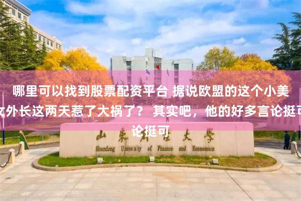 哪里可以找到股票配资平台 据说欧盟的这个小美女外长这两天惹了大祸了？ 其实吧，他的好多言论挺可