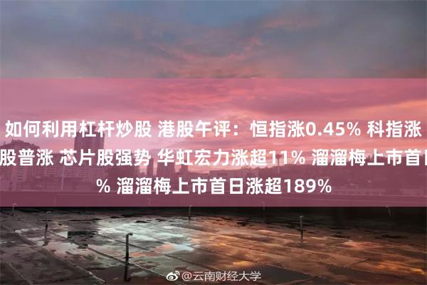 如何利用杠杆炒股 港股午评：恒指涨0.45% 科指涨0.92% 黄金股普涨 芯片股强势 华虹宏力涨超11% 溜溜梅上市首日涨超189%