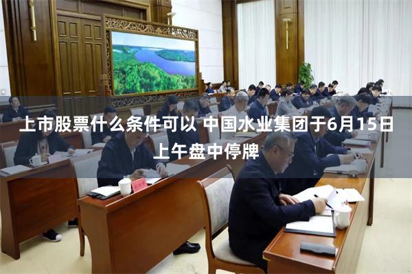 上市股票什么条件可以 中国水业集团于6月15日上午盘中停牌