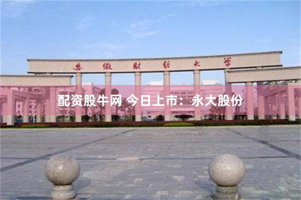 配资股牛网 今日上市：永大股份