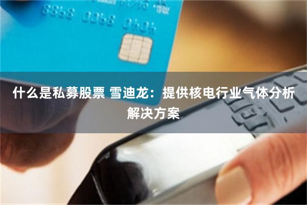 什么是私募股票 雪迪龙：提供核电行业气体分析解决方案