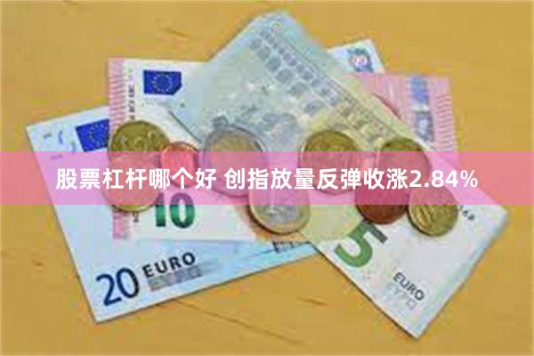 股票杠杆哪个好 创指放量反弹收涨2.84%