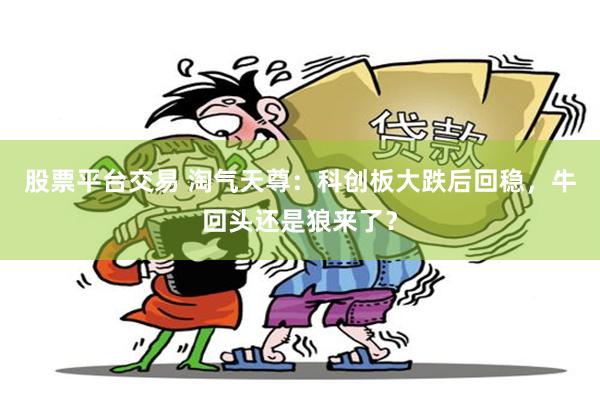 股票平台交易 淘气天尊：科创板大跌后回稳，牛回头还是狼来了？