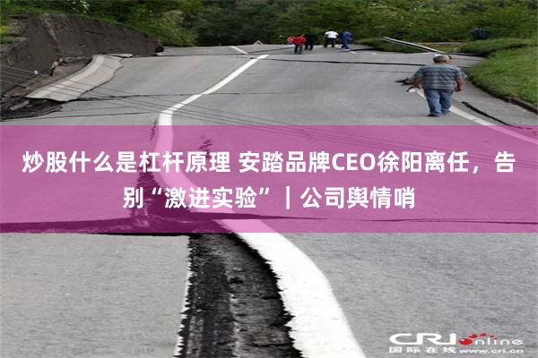 炒股什么是杠杆原理 安踏品牌CEO徐阳离任，告别“激进实验”｜公司舆情哨