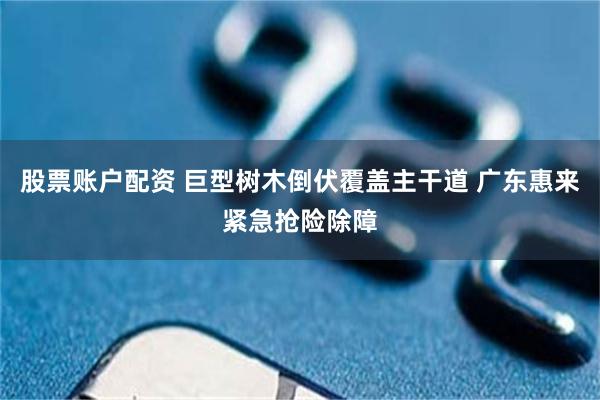 股票账户配资 巨型树木倒伏覆盖主干道 广东惠来紧急抢险除障