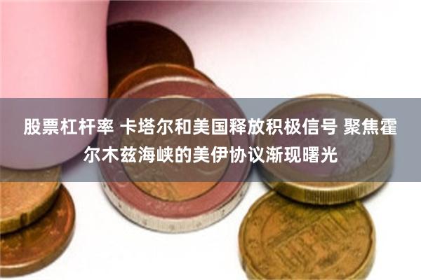 股票杠杆率 卡塔尔和美国释放积极信号 聚焦霍尔木兹海峡的美伊协议渐现曙光