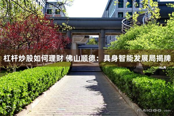 杠杆炒股如何理财 佛山顺德：具身智能发展局揭牌