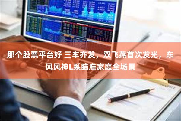 那个股票平台好 三车齐发，双飞燕首次发光，东风风神L系瞄准家庭全场景