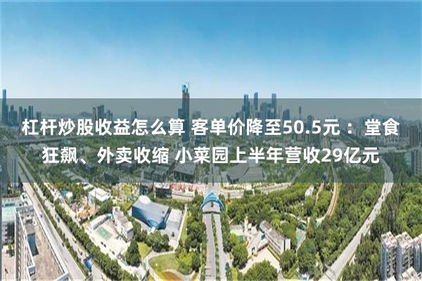 杠杆炒股收益怎么算 客单价降至50.5元 ：堂食狂飙、外卖收缩 小菜园上半年营收29亿元