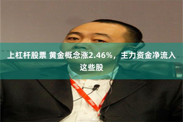 上杠杆股票 黄金概念涨2.46%，主力资金净流入这些股