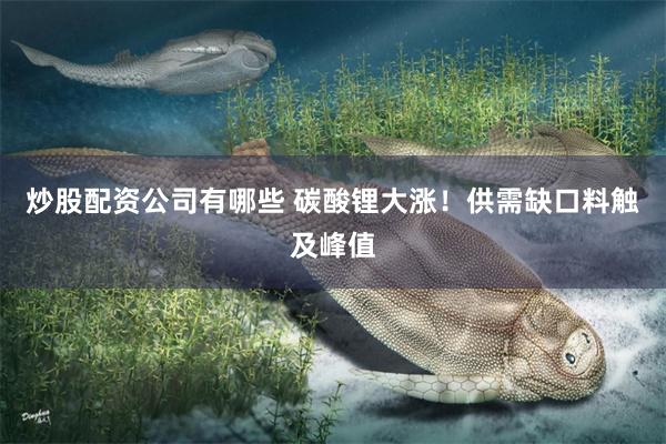炒股配资公司有哪些 碳酸锂大涨！供需缺口料触及峰值