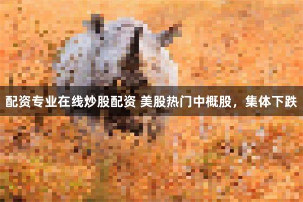 配资专业在线炒股配资 美股热门中概股，集体下跌