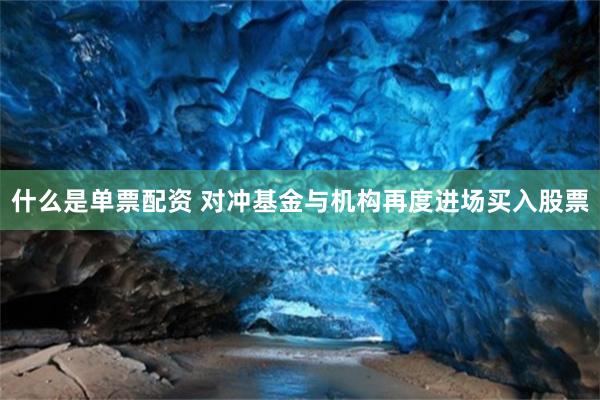 什么是单票配资 对冲基金与机构再度进场买入股票