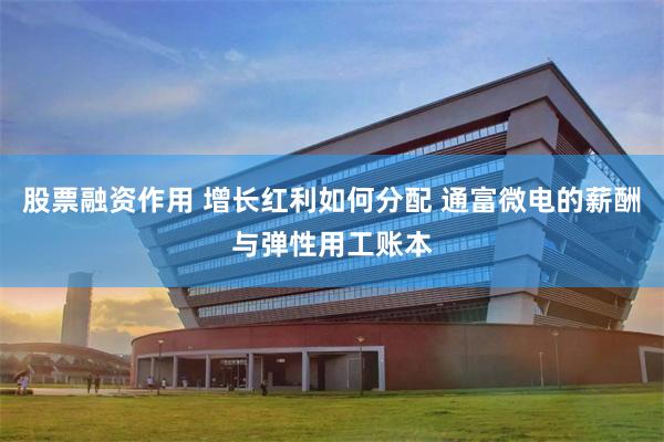 股票融资作用 增长红利如何分配 通富微电的薪酬与弹性用工账本