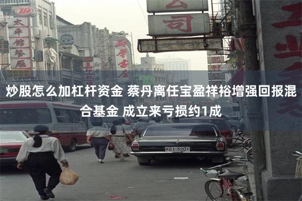 炒股怎么加杠杆资金 蔡丹离任宝盈祥裕增强回报混合基金 成立来亏损约1成