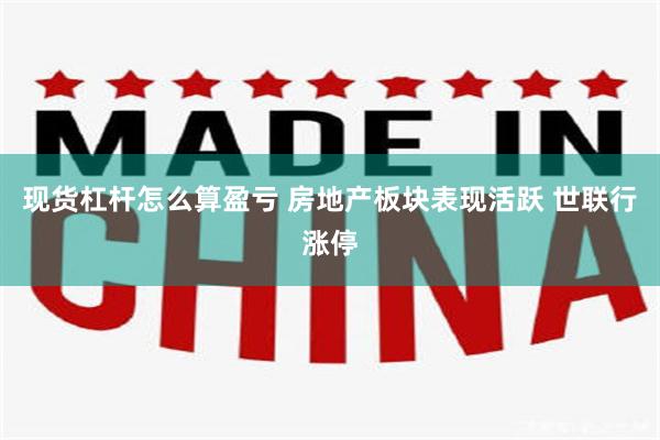 现货杠杆怎么算盈亏 房地产板块表现活跃 世联行涨停