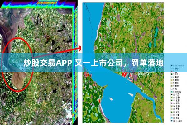 炒股交易APP 又一上市公司，罚单落地